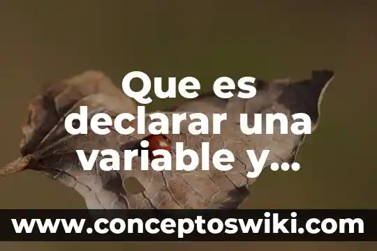 Animal que es gran cazador 7 Que es declarar una variable y constante