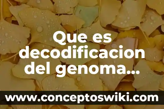 Qué es la luna estrella y sol 6 Que es decodificacion del genoma humano