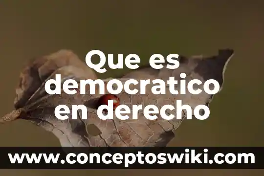 Que es y el que consiste el derecho castense 4 Que es democratico en derecho