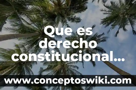 Qué es un artículo constitucional ambiental 3 Que es derecho constitucional segun carl schmitt