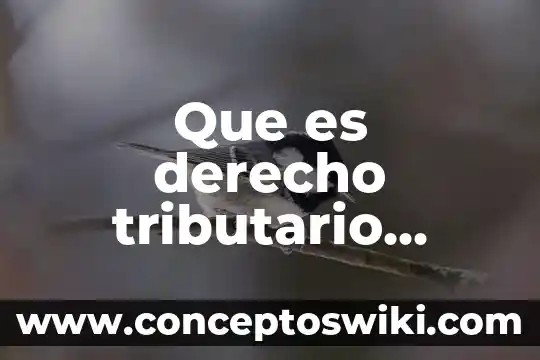 Que es el interes fiscal de la federacion 5 Que es derecho tributario codigo fiscal de la federacion