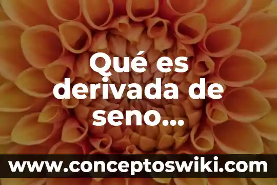 Que es derivada fisica 3 Qué es derivada de seno matemáticas