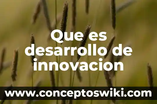 Que es el desarrollo de los milenios 4 Que es desarrollo de innovacion