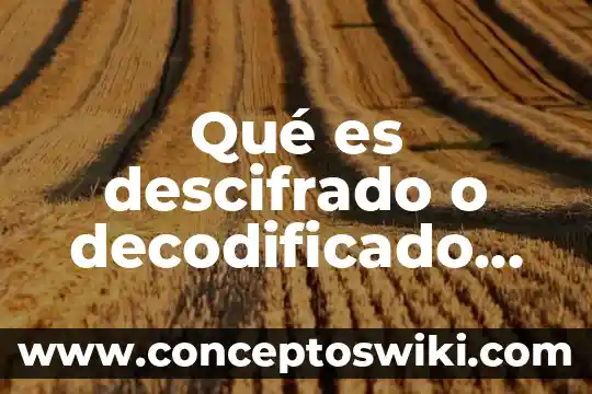 Que es encapsulamiento informatica 5 QuƩ es descifrado o decodificado en la informƔtica