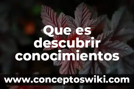 Que es activar los conocimientos previos 5 Que es descubrir conocimientos
