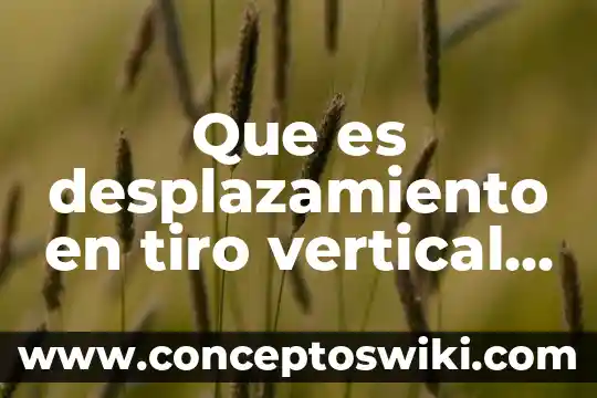 Qué es la comunicación vertical ascendente 8 Que es desplazamiento en tiro vertical en fisic