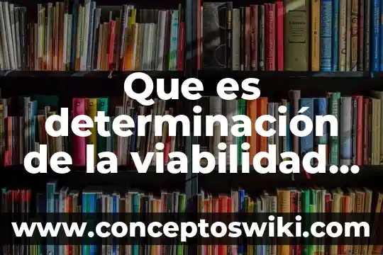 Que es la determinacion de planta en una micro empresa 4 Que es determinación de la viabilidad comercial