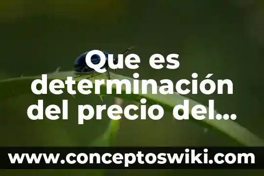 Que es la determinacion de planta en una micro empresa 8 Que es determinación del precio del servicio