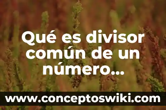 Qué es MCD máximo común divisor de un número 5 Qué es divisor común de un número determinado