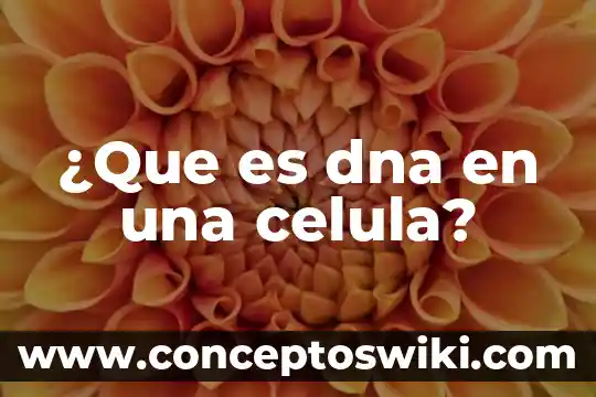 Que es celula pilifera 8 ¿Que es dna en una celula?