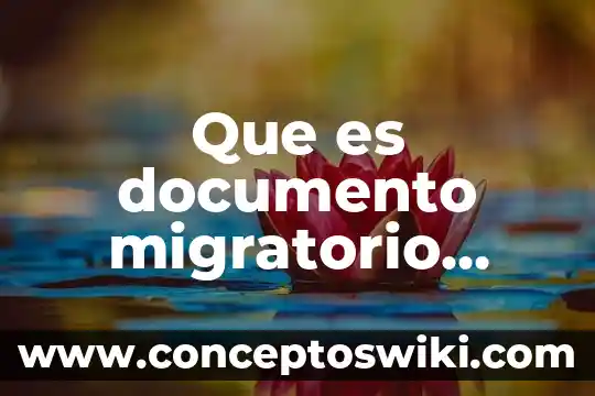 Aplicaci贸n para detectar que es un documento copiado 4 Que es documento migratorio vigente extranjeros