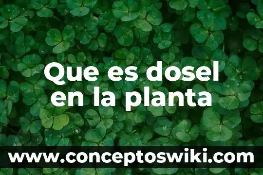 Que es una planta compacta de pretratamiento 5 Que es dosel en la planta