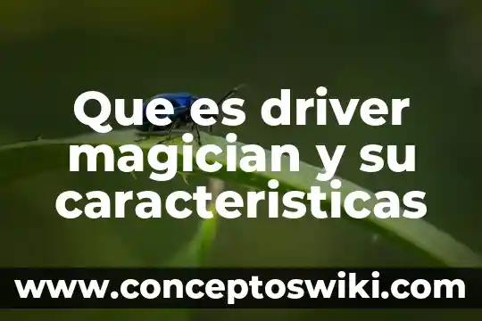 Que es el cubismo y sus caracteristicas de movimiento 5 Que es driver magician y su caracteristicas