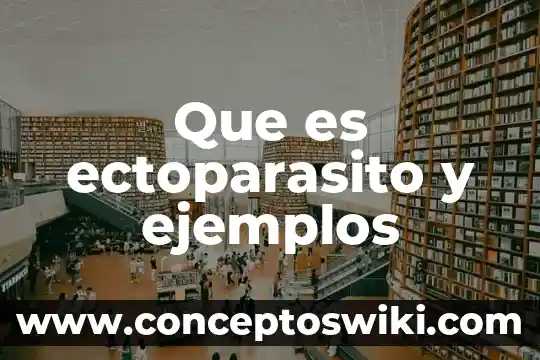 Que es dm en electronica 8 Que es ectoparasito y ejemplos
