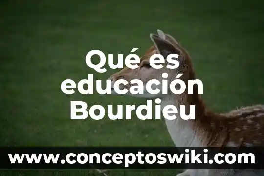 Que es ambigua en la educacion 8 Qué es educación Bourdieu