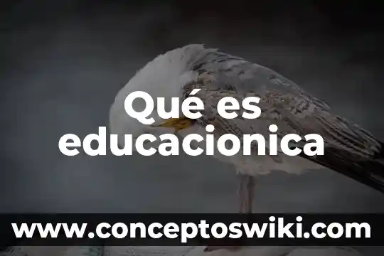 Que es creatividad en el ambito cultural 5 Qué es educacionica