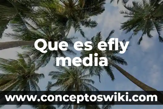 Que es el indulto internacional 5 Que es efly media
