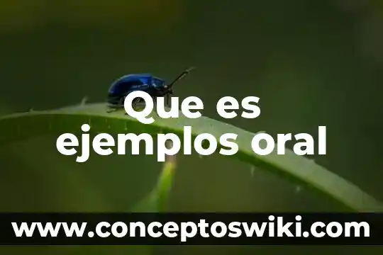 Qué es pi y ejemplos 4 Que es ejemplos oral