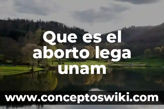 Aborto que es en embarazo tratamiento 4 Que es el aborto lega unam