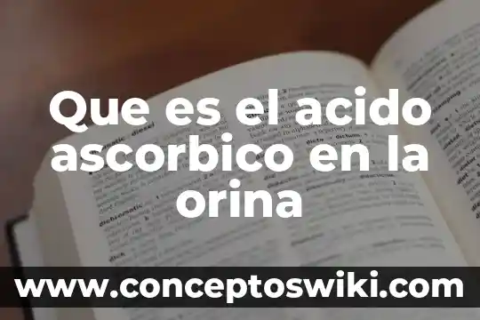 Que es la urea creatinina y acido urico 5 Que es el acido ascorbico en la orina