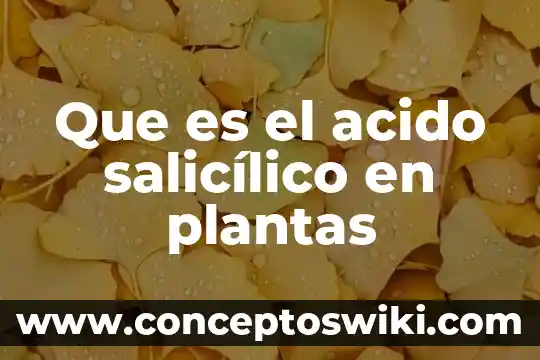 Que es la urea creatinina y acido urico 7 Que es el acido salicílico en plantas