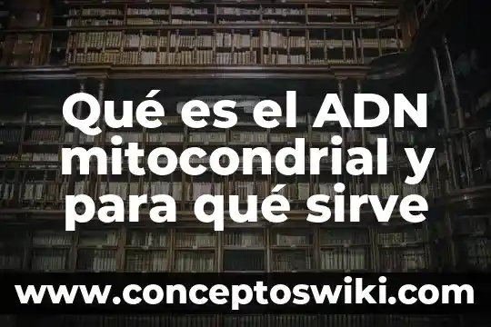 Qué es wasabi y para qué sirve 6 Qué es el ADN mitocondrial y para qué sirve