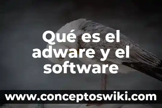 Que es software diseño de presentacion 8 Qué es el adware y el software