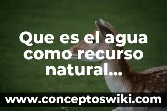Que es el recurso de revidsion 6 Que es el agua como recurso natural renovable