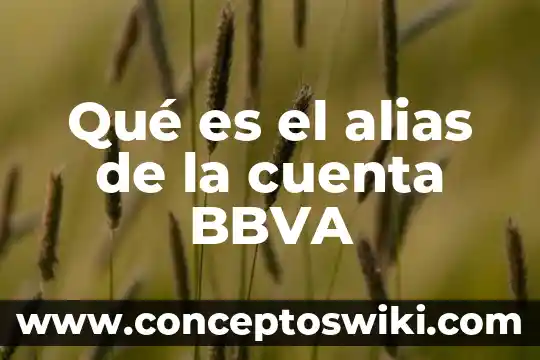 Que es cuenta custodia icbc 4 Qué es el alias de la cuenta BBVA