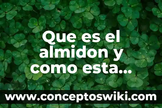 Que es el sistema linfatico y como esta constituido 4 Que es el almidon y como esta constituido quimicamente