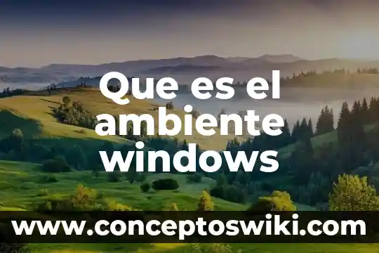 Que es la protección al ambiente 5 Que es el ambiente windows