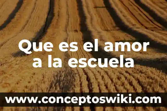 Que es una escuela modelo 3 Que es el amor a la escuela