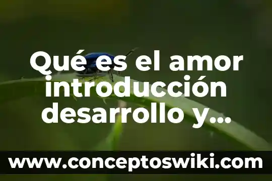 Estudio kumamoto que es 5 Qué es el amor introducción desarrollo y conclusión