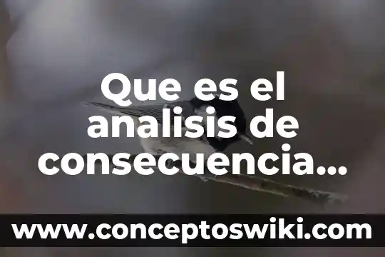 Qué es causa y que es consecuencia 3 Que es el analisis de consecuencia balanceadas boc