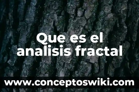Que es un analisis ejemplo tesis 3 Que es el analisis fractal