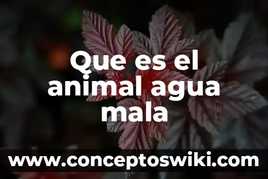 Qué es un animal transgénico en la biodiversidad 3 Que es el animal agua mala