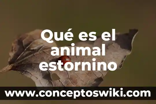 Que es un animal pigmeo 3 Qué es el animal estornino