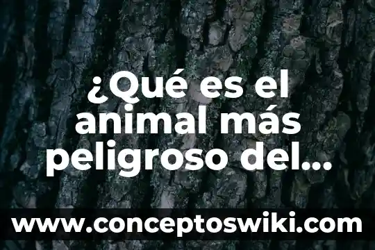 Qué es el camuflaje animal 3 ¿Qué es el animal más peligroso del mundo?