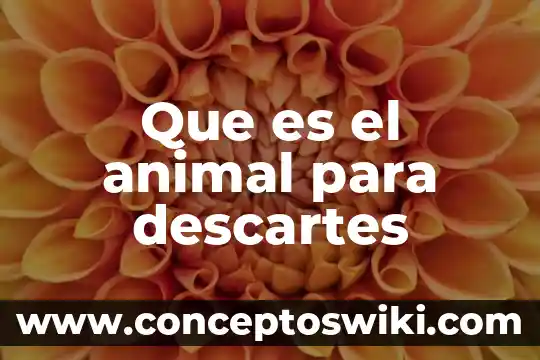 Que es el animal libro 6 Que es el animal para descartes