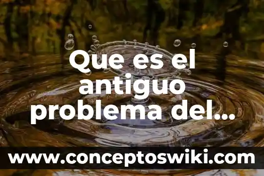 Que es la definicion del problema en un tesis 3 Que es el antiguo problema del camizal
