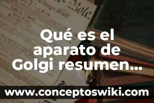 Qué es la célula animal y vegetal 3 Qué es el aparato de Golgi resumen corto célula vegetal