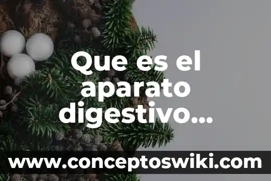 Que es una estrella explicacion para niños 6 Que es el aparato digestivo explicacion para niños
