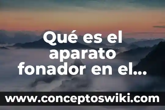 Qué es cuerpo en danza 7 Qué es el aparato fonador en el cuerpo