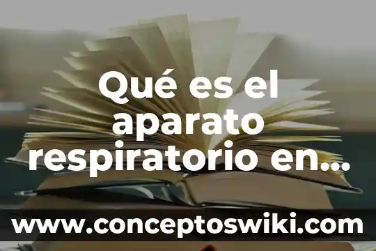 Qué es organismos del aparato digestivo 3 Qué es el aparato respiratorio en diferentes organismos