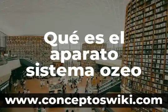 Qué es organismos del aparato digestivo 5 Qué es el aparato sistema ozeo