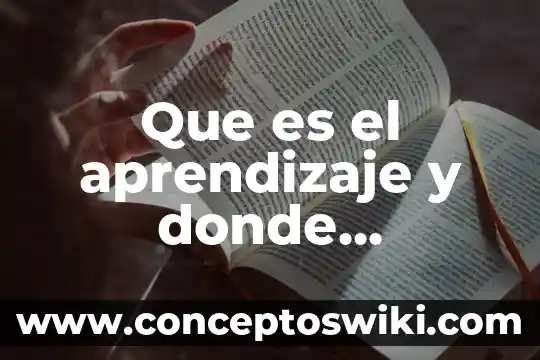 El que es gallo donde quiera canta significado 8 Que es el aprendizaje y donde comienza