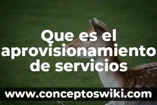 Qué es reticular significado 4 Que es el aprovisionamiento de servicios