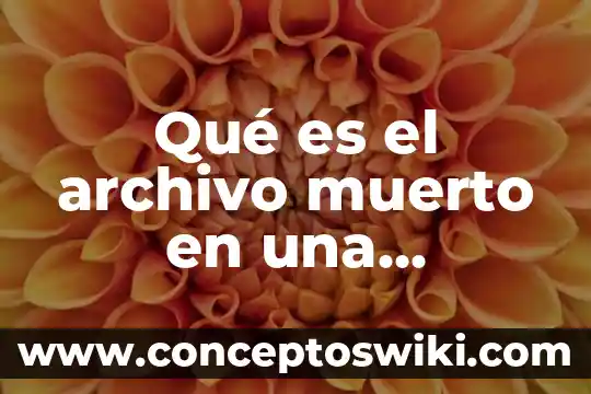 Que es aspel archivo de excel 5 Qué es el archivo muerto en una empresa