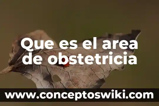 ¿Qué es mejor enfermería o obstetricia? 3 Que es el area de obstetricia
