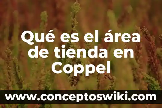 Planta de tienda que es 6 Qué es el área de tienda en Coppel